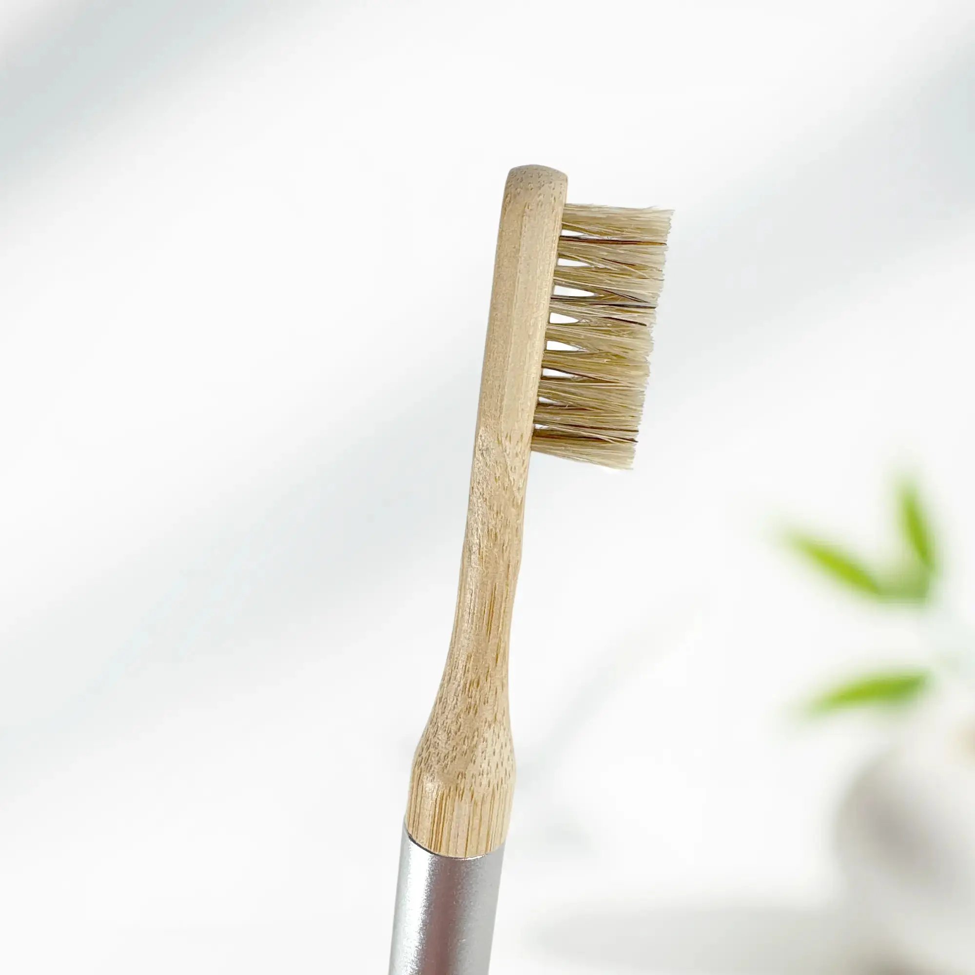 Boars Hair Toothbrush Kit - Image 10
