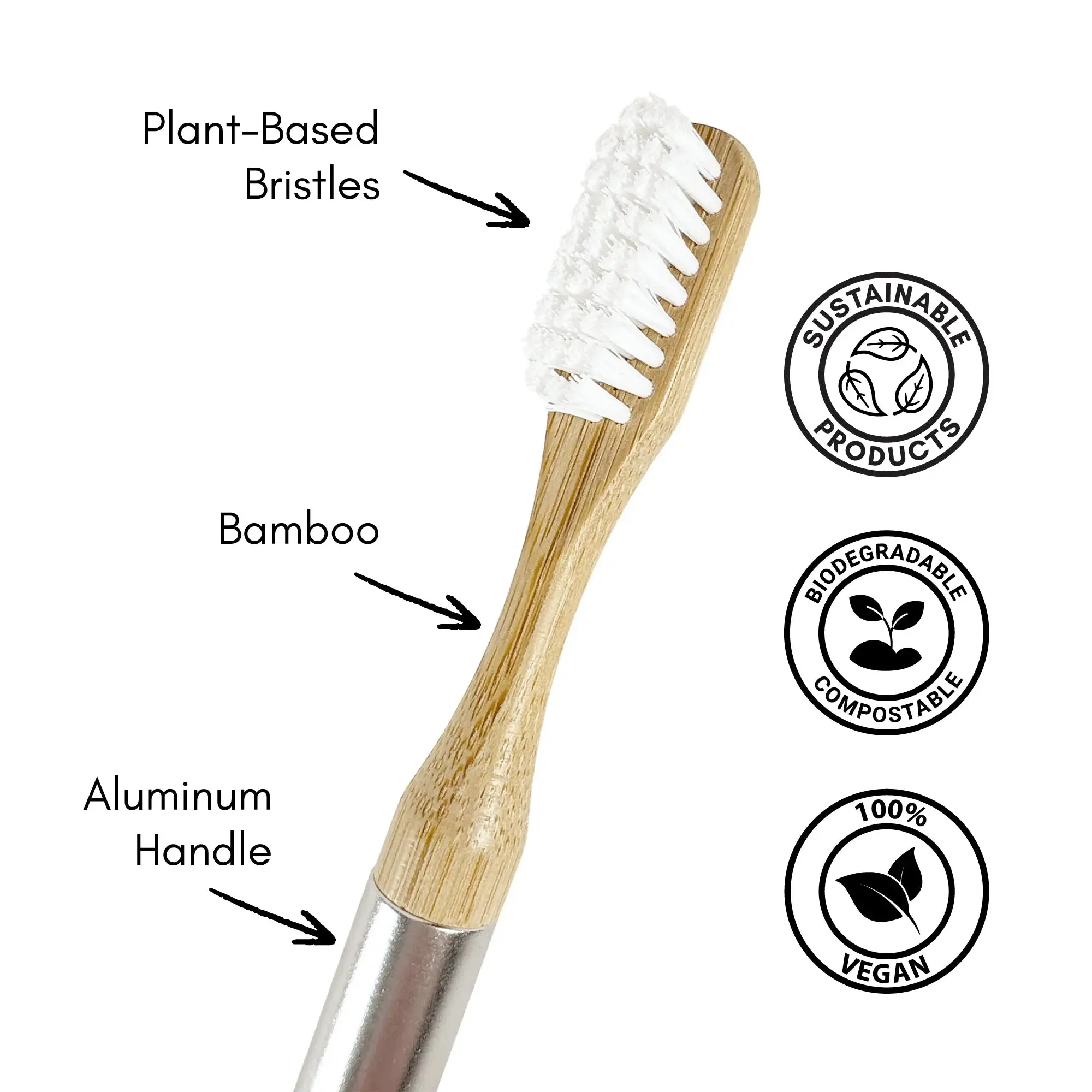 Castor Oil Toothbrush Heads - Image 3