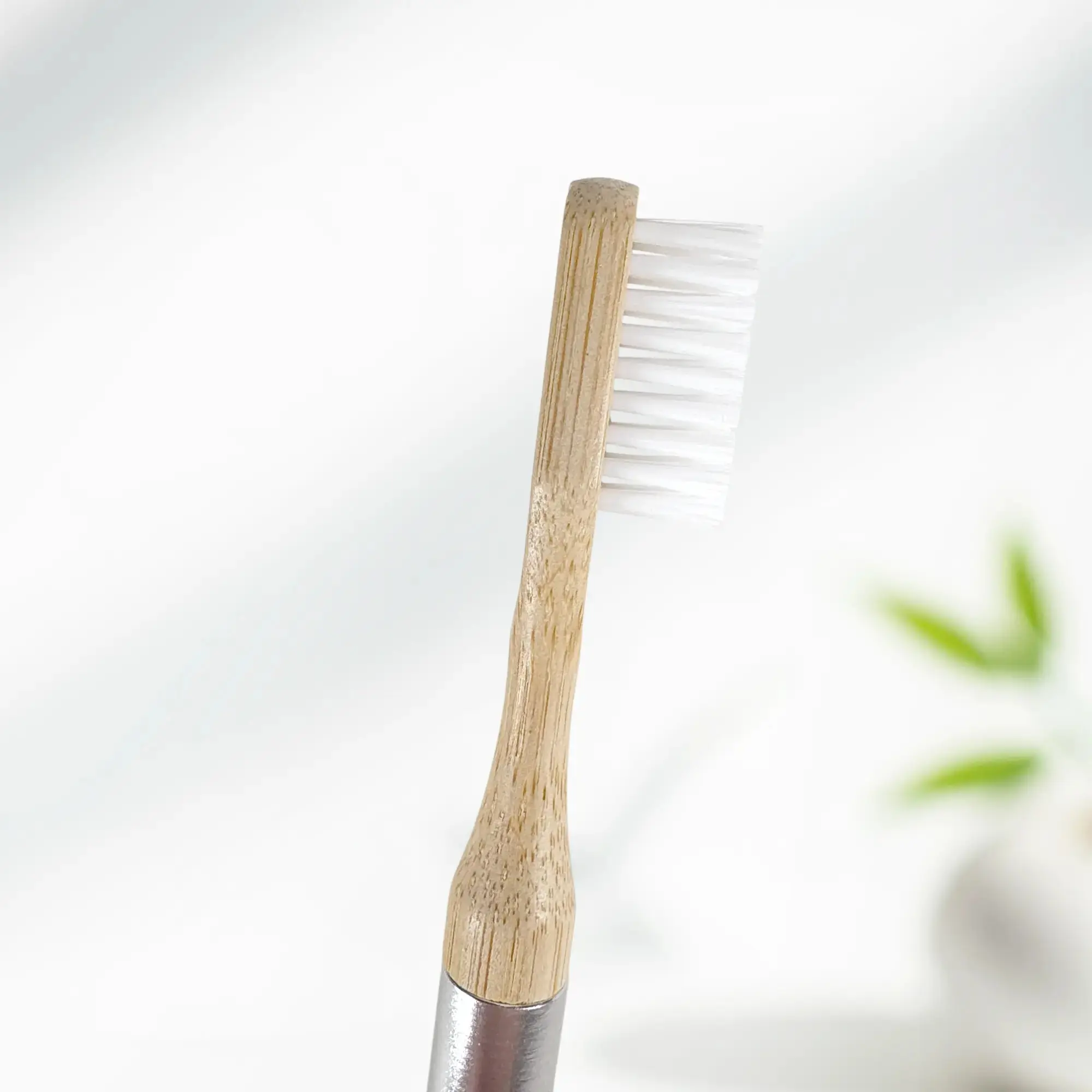 Castor Oil Toothbrush Heads - Image 6